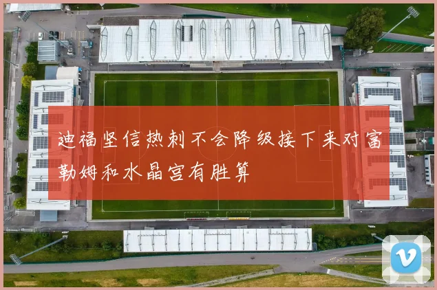 迪福坚信热刺不会降级接下来对富勒姆和水晶宫有胜算