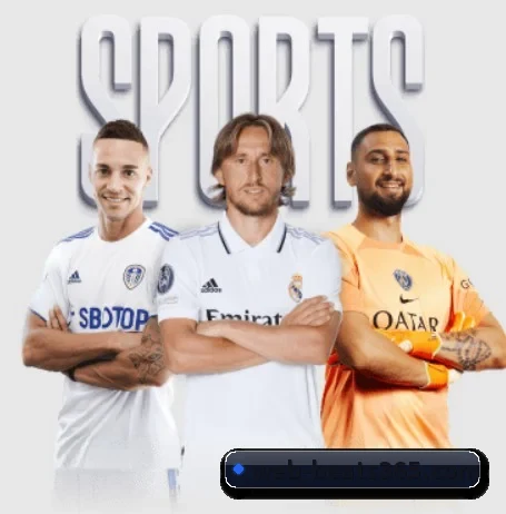 BET365 APP 界面